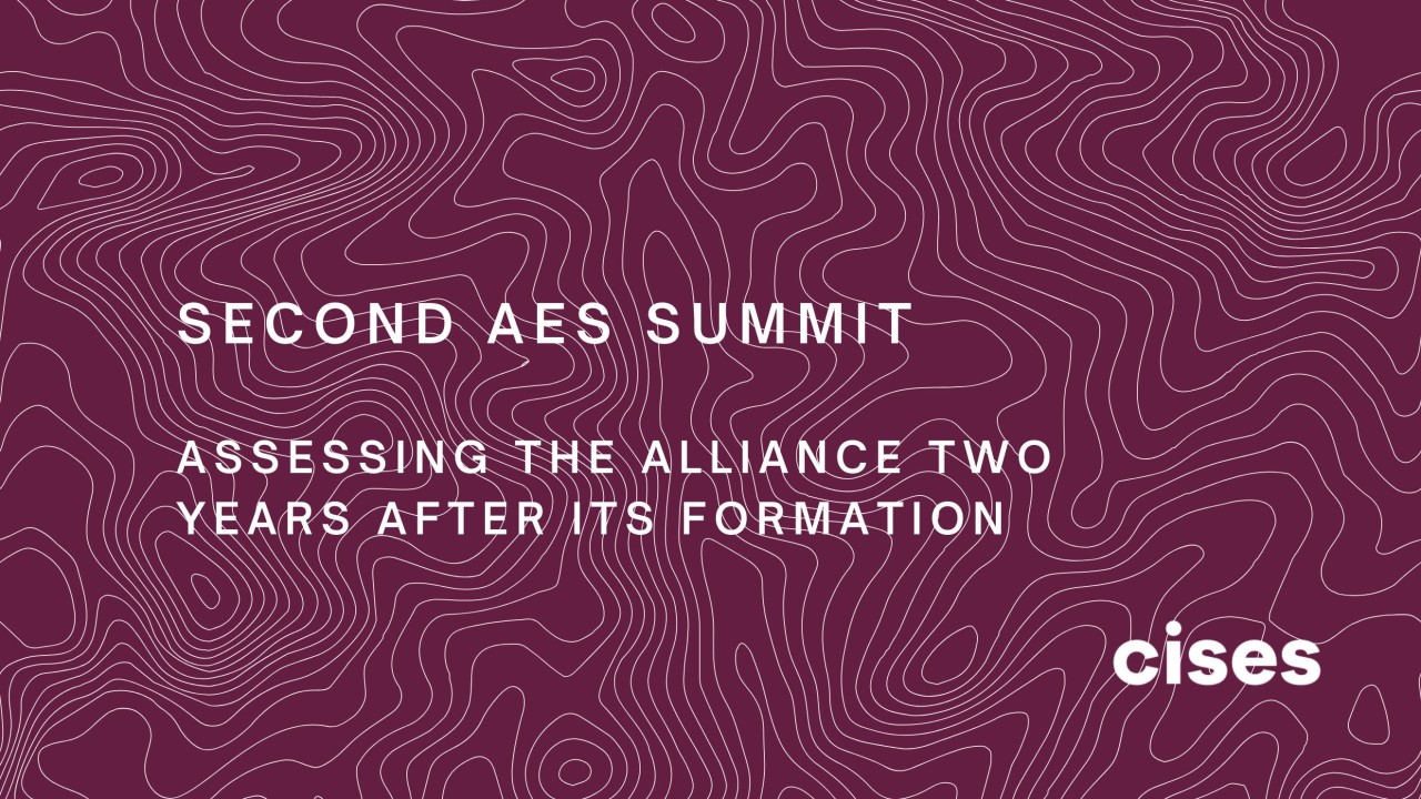 Second AES Summit: Assessing the Alliance Two Years After its Formation